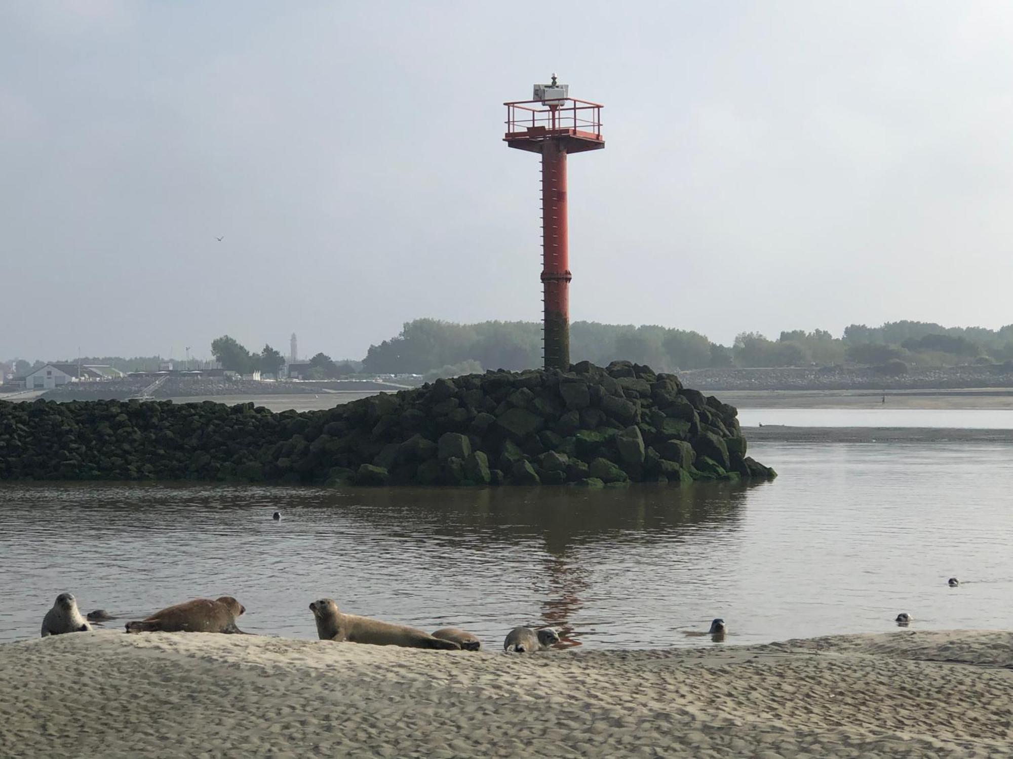 L'Escapade - Hardelot Plage - Parking Prive Neufchâtel-Hardelot Esterno foto